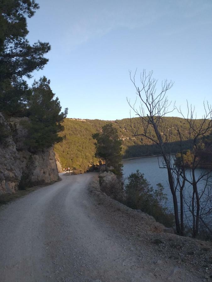 Viola * Skradin